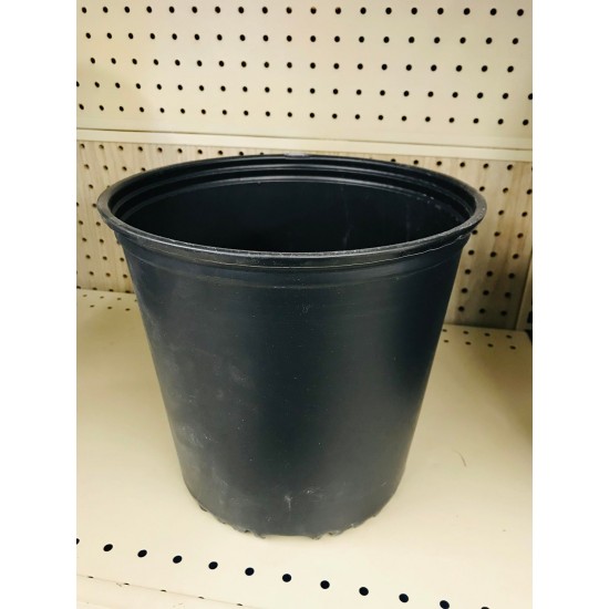 Pot Noir 3 Gallons (13,55 Litres)